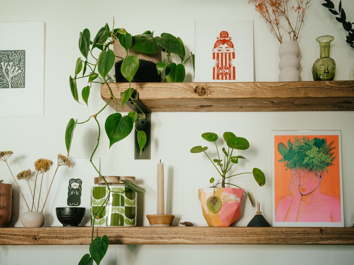 Plant Displays