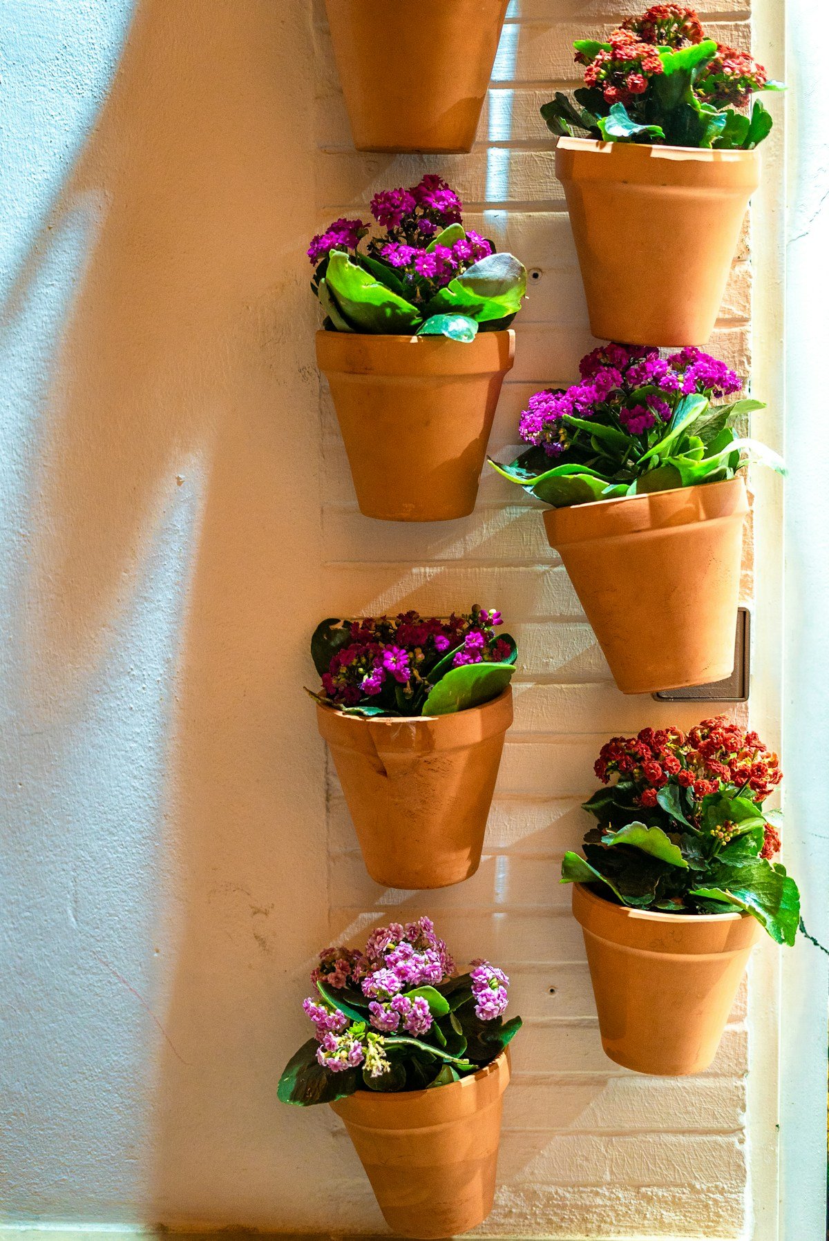 Indoor Plant Pots