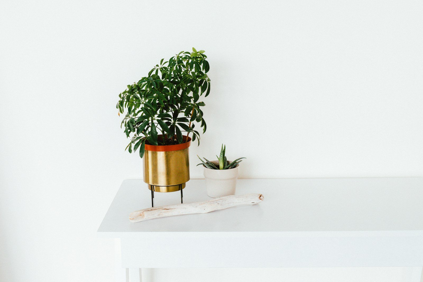 Metallic Planters