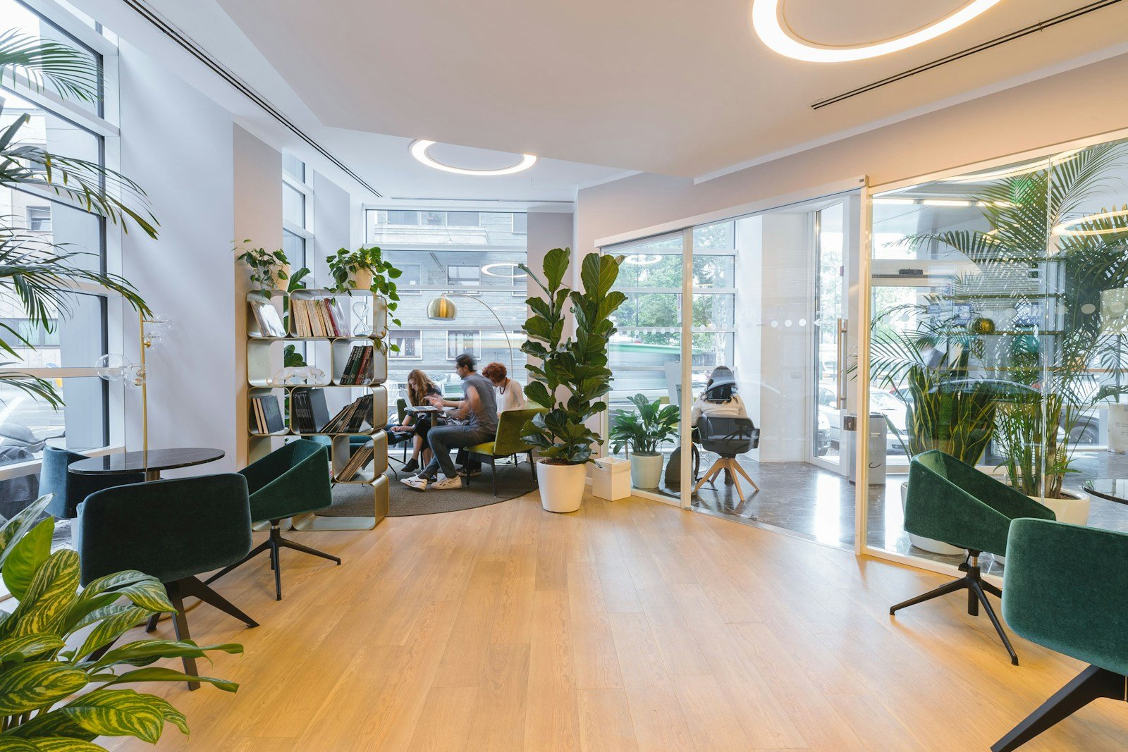 Biophilic office interior with large indoor plants