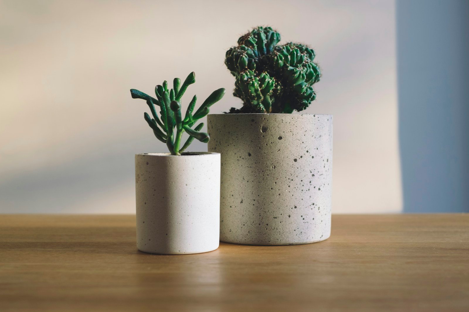Ceramic Pots