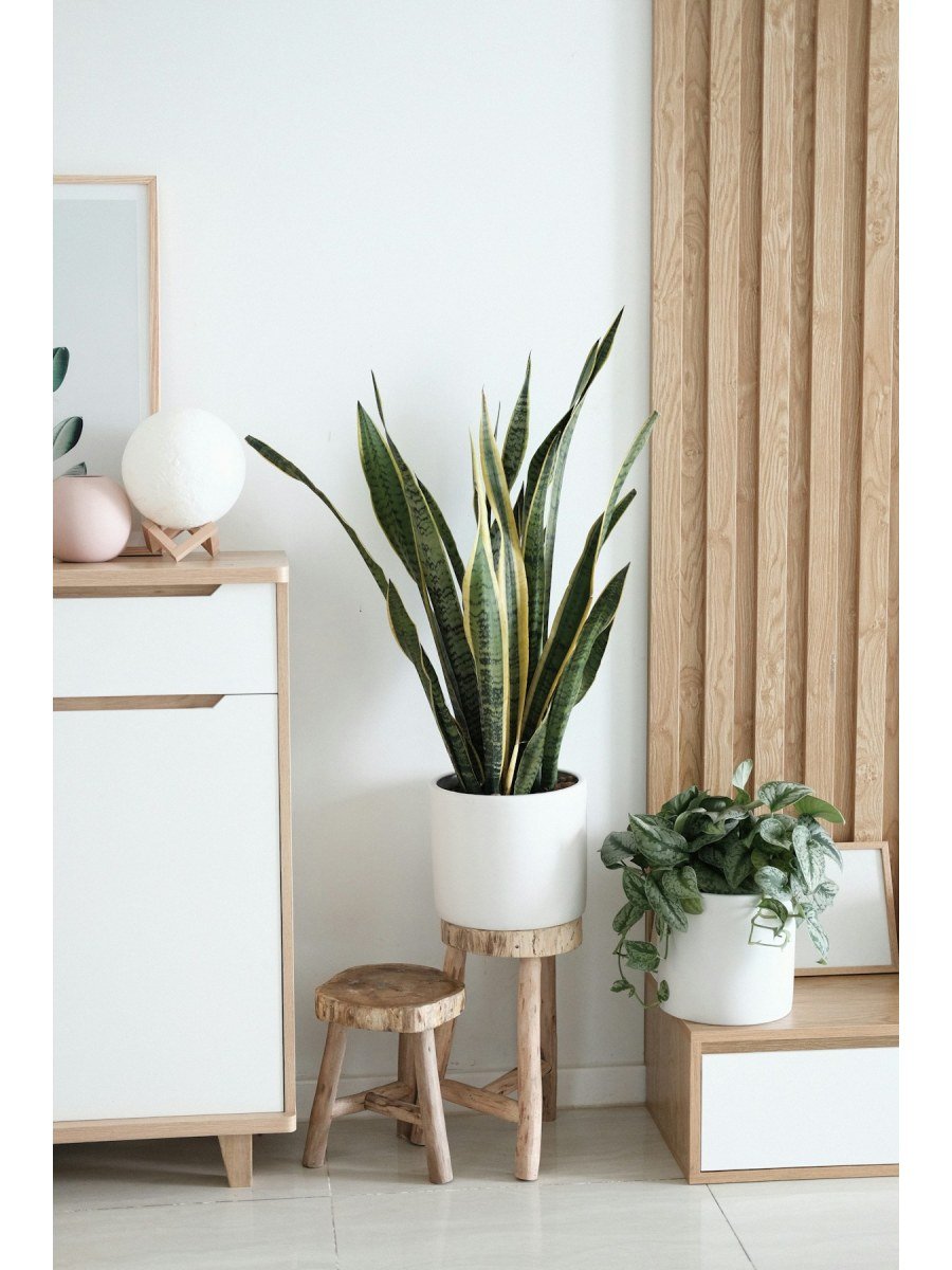 Artificial Trailing Ivy